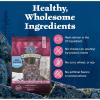 imageBlue Buffalo Wilderness Natural High Protein Grain Free Salmon Dry Food for Adult Cats 11 lbs