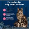 imageBlue Buffalo Wilderness Natural High Protein Grain Free Salmon Dry Food for Adult Cats 11 lbs