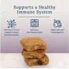imageBlue Buffalo BeneBars Immune Support Dog Treats with Vitamins C ampamp E Made with Natural Ingredients USA Chicken ampamp Mixed Berries 9oz BagChicken  Mixed Berries