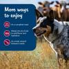 imageBlue Buffalo Blues Stew GrainFree Wet Dog Food Made with Natural Ingredients Hearty Beef Stew 125oz Cans 12 CountVariety Pack Chicken  Beef