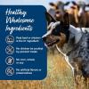 imageBlue Buffalo Blues Stew GrainFree Wet Dog Food Made with Natural Ingredients Hearty Beef Stew 125oz Cans 12 CountVariety Pack Chicken  Beef