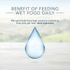imageBlue Buffalo Delights Natural Adult Small Breed Wet Dog Food Variety Pack Made with Natural Ingredients Filet Mignon Flavor Pat ampamp Porterhouse Flavor Pat 35oz Cups 12 Count 6 of EachAngus Beef