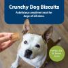imageBlue Buffalo Health Bars Crunchy Dog Biscuits OvenBaked With Natural Ingredients Pumpkin ampamp Cinnamon 16oz BagApple  Yogurt