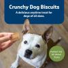 imageBlue Buffalo Health Bars Crunchy Dog Biscuits OvenBaked With Natural Ingredients Pumpkin ampamp Cinnamon 16oz BagApple  Yogurt