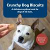 imageBlue Buffalo Health Bars Crunchy Dog Biscuits OvenBaked With Natural Ingredients Pumpkin ampamp Cinnamon 16oz BagBacon  Egg  Cheese