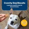 imageBlue Buffalo Health Bars Crunchy Dog Biscuits OvenBaked With Natural Ingredients Pumpkin ampamp Cinnamon 16oz BagBanana  Yogurt