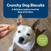 imageBlue Buffalo Health Bars Crunchy Dog Biscuits OvenBaked With Natural Ingredients Pumpkin ampamp Cinnamon 16oz BagMINIApple  Yogurt