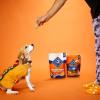 imageBlue Buffalo Health Bars Crunchy Dog Biscuits OvenBaked With Natural Ingredients Pumpkin ampamp Cinnamon 16oz BagPumpkin  Cinnamon