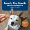 imageBlue Buffalo Health Bars Crunchy Dog Biscuits OvenBaked With Natural Ingredients Pumpkin ampamp Cinnamon 16oz BagPumpkin  Cinnamon