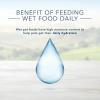 imageBlue Buffalo Homestyle Recipe Natural Adult Wet Dog Food Variety Pack Chicken ampamp Beef 125Oz Can 8 Count 4 Of Each FlavorVariety Pack Chicken  Beef