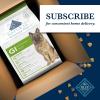 imageBlue Buffalo Natural Veterinary Diet GI Gastrointestinal Support Dry Dog Food Veterinarians Prescription Required Chicken 6lb BagChicken