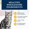imageBlue Buffalo Natural Veterinary Diet KM Dry Cat Food Kidney  Mobility Support Formula Veterinarian Prescription Required Chicken 7lb Bag