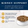 imageBlue Buffalo Natural Veterinary Diet KS Kidney Support Dry Dog Food Chicken 22lb bagChicken