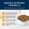 imageBlue Buffalo Natural Veterinary Diet KS Kidney Support Dry Dog Food Veterinarian Prescription Required Chicken 6lb BagChicken