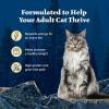 imageBlue Buffalo Wilderness Natural Wet Cat Food Pat HighProtein ampamp GrainFree Recipe Chicken 55oz Cans 24 CountChicken