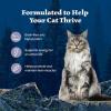 imageBlue Buffalo Wilderness Natural Wet Cat Food Pat HighProtein ampamp GrainFree Recipe Chicken 55oz Cans 24 CountChicken