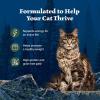 imageBlue Buffalo Wilderness Natural Wet Cat Food Pat HighProtein ampamp GrainFree Recipe Chicken 55oz Cans 24 CountDuck