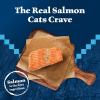 imageBlue Buffalo Wilderness Natural Wet Cat Food Pat HighProtein ampamp GrainFree Recipe Chicken 55oz Cans 24 CountSalmon