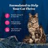 imageBlue Buffalo Wilderness Natural Wet Cat Food Pat HighProtein ampamp GrainFree Recipe Chicken 55oz Cans 24 CountSalmon