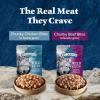 imageBlue Buffalo Wilderness Trail Toppers Wild Cuts High Protein Natural Wet Dog Food Variety Pack Beef Salmon Duck ampamp Chicken 3oz Pouches 24 CountBeef  Chicken
