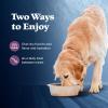 imageBlue Buffalo Wilderness Trail Toppers Wild Cuts High Protein Natural Wet Dog Food Variety Pack Beef Salmon Duck ampamp Chicken 3oz Pouches 24 CountBeef