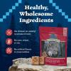 imageBlue Buffalo Wilderness Trail Treats Crunchy Dog Biscuits GrainFree and HighProtein Dog Treats Made with Natural Ingredients Salmon Recipe 24oz BagSalmon