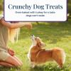 imageBlue Buffalo Basics Dog Biscuits Skin ampamp Stomach Care Crunchy Dog Treats Turkey Recipe 6oz BagTurkey  Potato