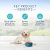 imageBlue Buffalo Life Protection Formula Puppy Dry Dog Food Chicken ampamp Brown Rice 30 lbsChicken  Brown Rice