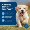 imageBlue Buffalo Life Protection Formula Puppy Dry Dog Food Chicken ampamp Brown Rice 30 lbsChicken  Brown Rice