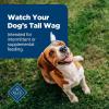 imageBlue Buffalo Nudges Jerky Bites Dog Treats Made in the USA with Natural Ingredients BiteSized Pieces Chicken 16oz Bag