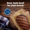 imageBlue Buffalo Nudges Jerky Cuts Dog Treats Made in the USA with Natural Ingredients Steak 16oz Bag
