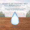 imageBlue Buffalo Wilderness High Protein Grain Free Natural Kitten Pate Wet Cat Food Chicken ampamp Salmon 3oz cans 48 Count  24 of Each FlavorVariety Pack Chicken  Salmon