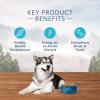imageBlue Buffalo Wilderness Natural HighProtein Dry Food for Adult Dogs Chicken Recipe 28lb BagSalmon plus Wholesome Grains