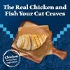 imageBlue Buffalo Wilderness Wild Delights Meaty Morsels Wet Cat Food HighProtein ampamp GrainFree Made with Natural Ingredients Chicken ampamp Turkey Recipe in Tasty Gravy 3oz Cans 24 CountChicken  Trout