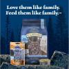 imageBlue Buffalo Wilderness Wild Delights Meaty Morsels Wet Cat Food HighProtein ampamp GrainFree Made with Natural Ingredients Chicken ampamp Turkey Recipe in Tasty Gravy 3oz Cans 24 CountTrout