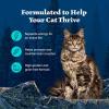 imageBlue Buffalo Wilderness Wild Delights Meaty Morsels Wet Cat Food HighProtein ampamp GrainFree Made with Natural Ingredients Chicken ampamp Turkey Recipe in Tasty Gravy 3oz Cans 24 CountChicken  Trout