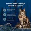 imageBlue Buffalo Wilderness Wild Delights Meaty Morsels Wet Cat Food HighProtein ampamp GrainFree Made with Natural Ingredients Chicken ampamp Turkey Recipe in Tasty Gravy 3oz Cans 24 CountTrout