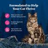 imageBlue Buffalo Wilderness Wild Delights Meaty Morsels Wet Cat Food HighProtein ampamp GrainFree Made with Natural Ingredients Chicken ampamp Turkey Recipe in Tasty Gravy 3oz Cans 24 CountChicken  Salmon