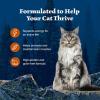 imageBlue Buffalo Wilderness Wild Delights Meaty Morsels Wet Cat Food HighProtein ampamp GrainFree Made with Natural Ingredients Chicken ampamp Turkey Recipe in Tasty Gravy 3oz Cans 24 CountChicken  Turkey