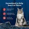 imageBlue Buffalo Wilderness Wild Delights Meaty Morsels Wet Cat Food HighProtein ampamp GrainFree Made with Natural Ingredients Chicken ampamp Turkey Recipe in Tasty Gravy 3oz Cans 24 CountRed Meat
