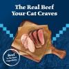 imageBlue Buffalo Wilderness Wild Delights Meaty Morsels Wet Cat Food HighProtein ampamp GrainFree Made with Natural Ingredients Chicken ampamp Turkey Recipe in Tasty Gravy 3oz Cans 24 CountRed Meat