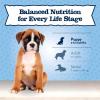 imageBlue Buffalo Baby BLUE Natural Small Breed Puppy Dry Dog Food Healthy Growth Formula with DHA Chicken and Oatmeal Recipe 4lb Bag4 Pound Pack of 1