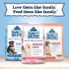 imageBlue Buffalo Baby BLUE Natural Small Breed Puppy Dry Dog Food Healthy Growth Formula with DHA Chicken and Oatmeal Recipe 4lb Bag4 Pound Pack of 2