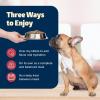 imageBlue Buffalo Freedom GrainFree Small Breed Wet Dog Food Supports High Energy Needs Made in the USA With Natural Ingredients Chicken 55oz Cans  24 CountChicken