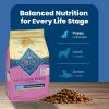 imageBlue Buffalo Life Protection Formula Small Breed Puppy Dry Dog Food with DHA Vital Nutrients ampamp Antioxidants Made with Natural Ingredients Chicken ampamp Oatmeal Recipe 15lb BagChicken  Oatmeal