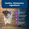 imageBlue Buffalo Life Protection Formula Toy Breed Adult Dry Dog Food Supports High Energy Needs Made with Natural Ingredients Chicken ampamp Brown Rice Recipe 4lb Bag4 Pound Pack of 1