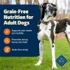 imageBlue Buffalo Freedom GrainFree Large Breed Dry Dog Food Supports Joint Health ampamp Mobility Made in the USA With Natural Ingredients Chicken ampamp Potatoes 24lb BagChicken