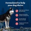 imageBlue Buffalo Wilderness Adult HighProtein Dry Dog Food Natural Salmon WITH WHOLESOME GRAINS