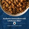 imageBlue Buffalo Wilderness Adult HighProtein Dry Dog Food Natural Salmon WITH WHOLESOME GRAINS