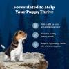 imageBlue Buffalo Wilderness HighProtein Natural Dry Food for Puppies Chicken Recipe 45lb Bag